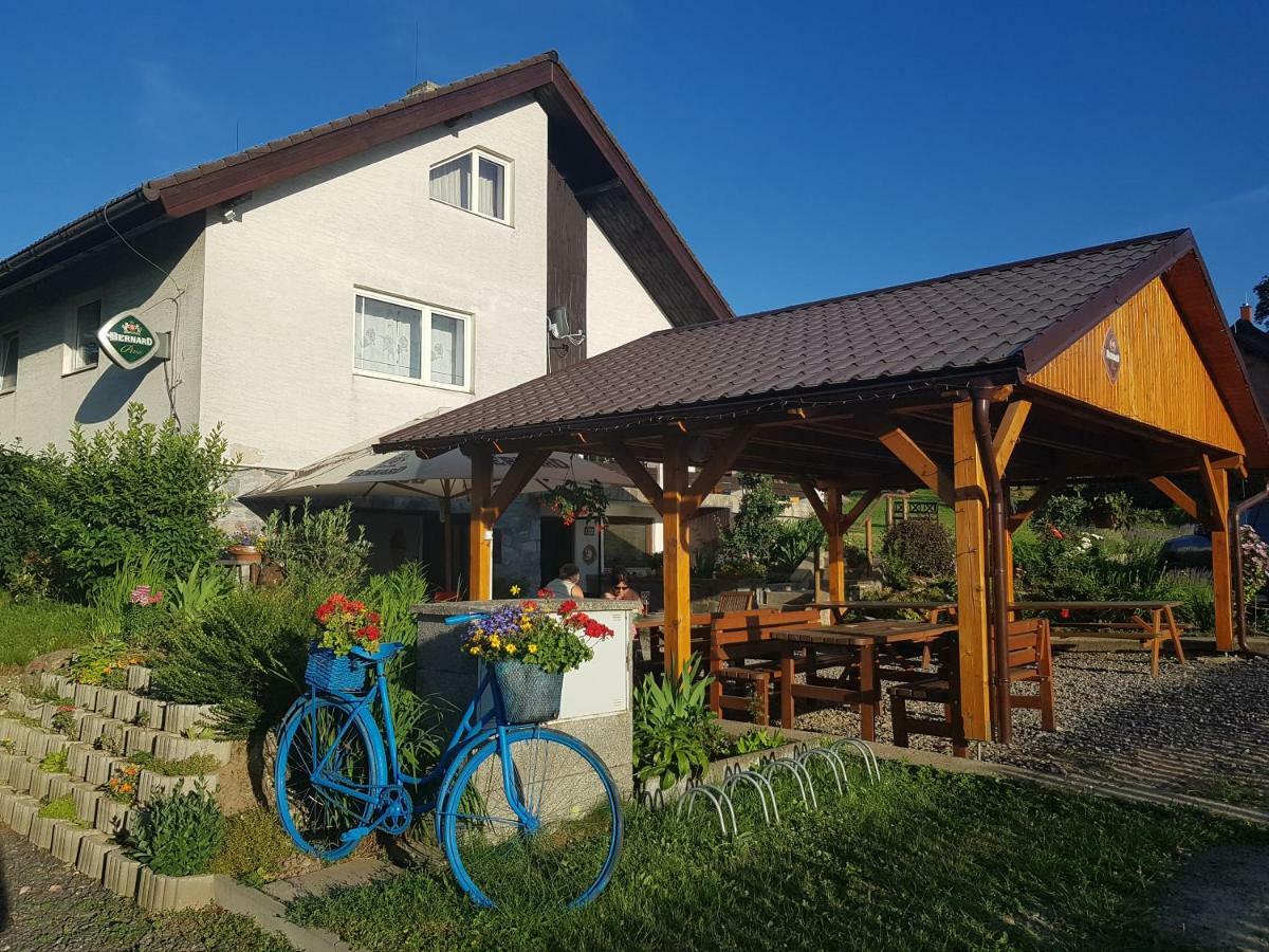 Penzion U Vichu Červená Voda Dış mekan fotoğraf